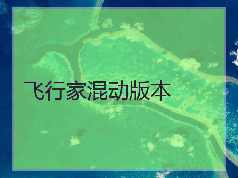 飞行家混动版本