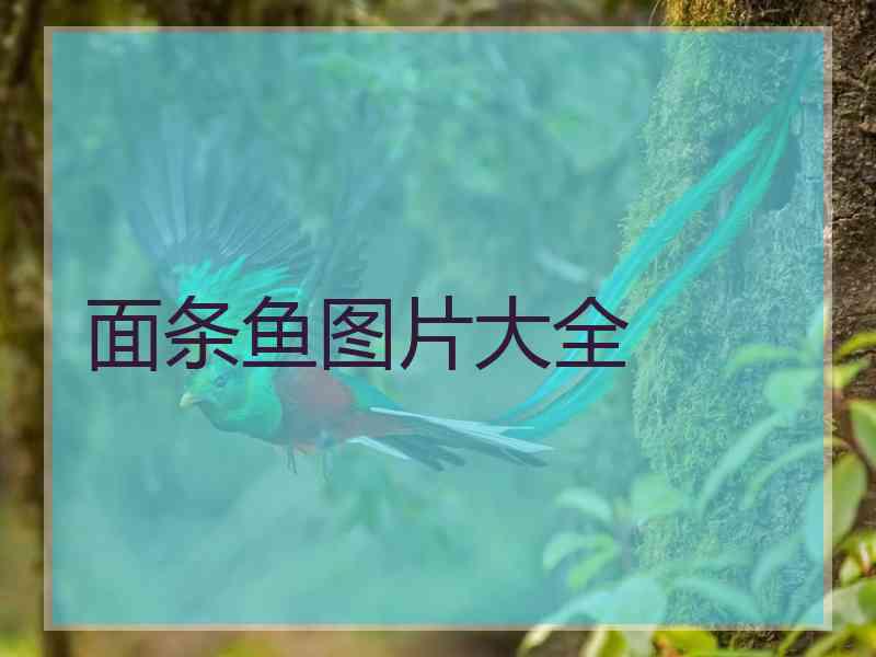 面条鱼图片大全