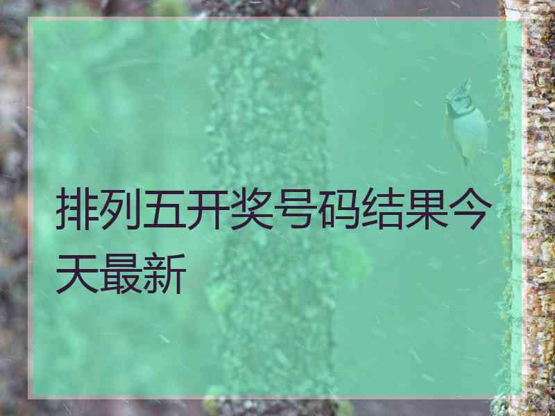 排列五开奖号码结果今天最新