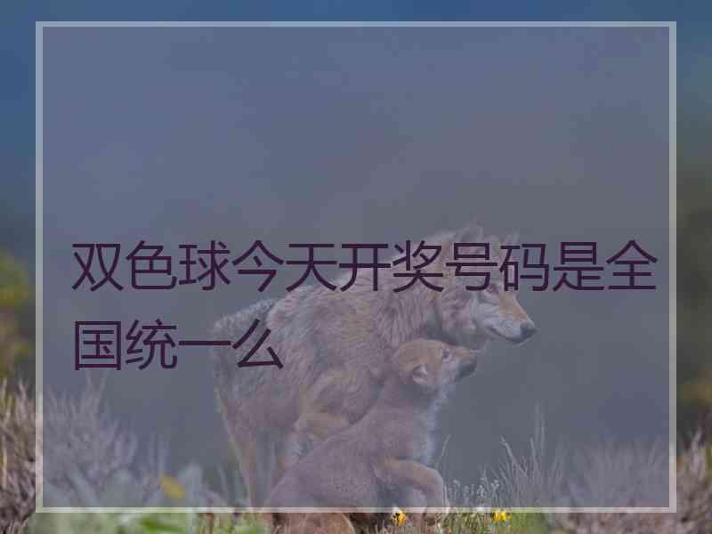 双色球今天开奖号码是全国统一么