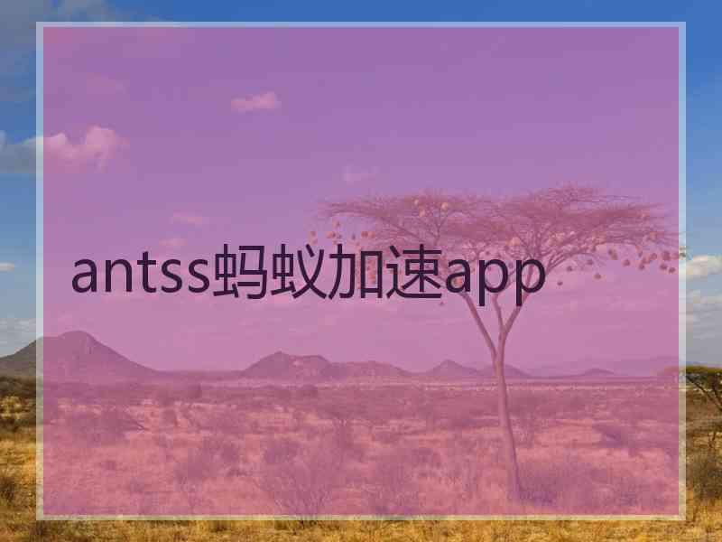 antss蚂蚁加速app