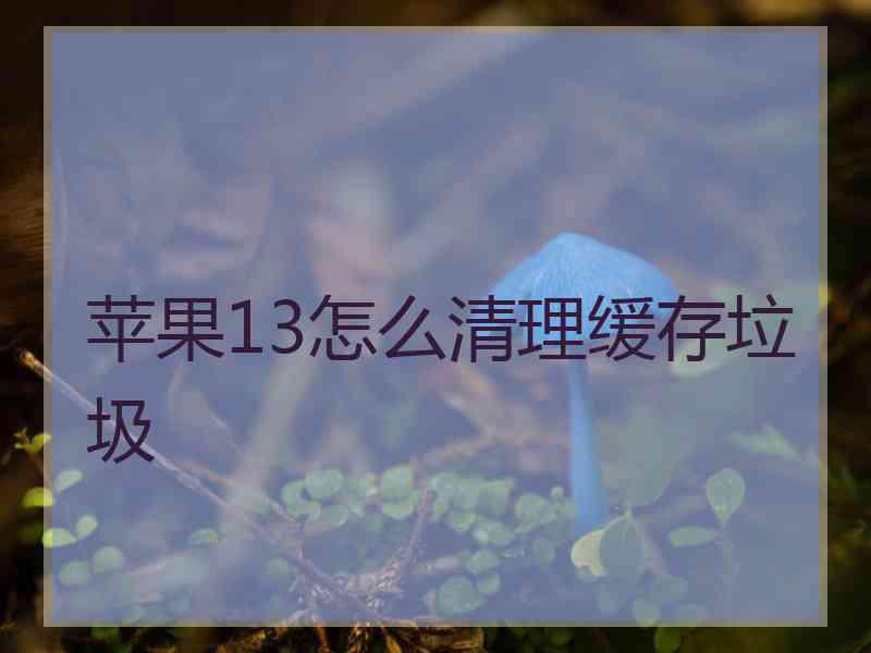 苹果13怎么清理缓存垃圾