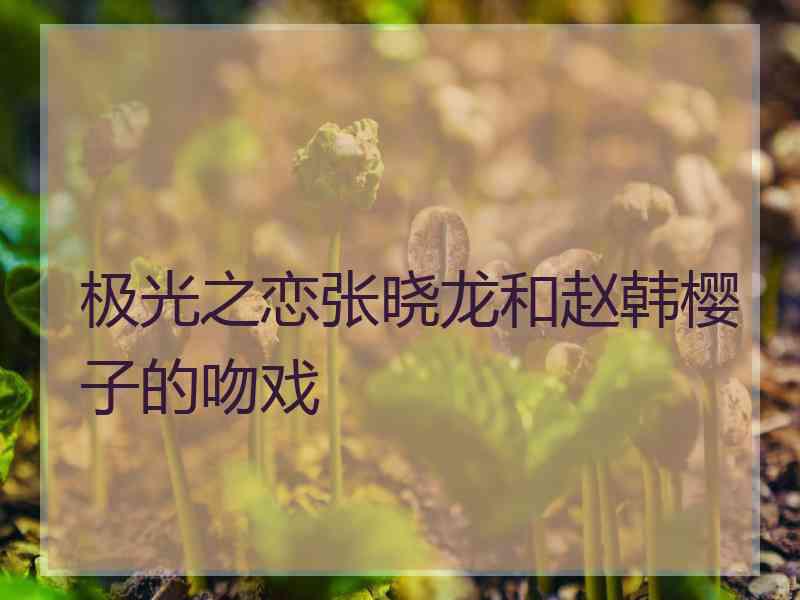 极光之恋张晓龙和赵韩樱子的吻戏