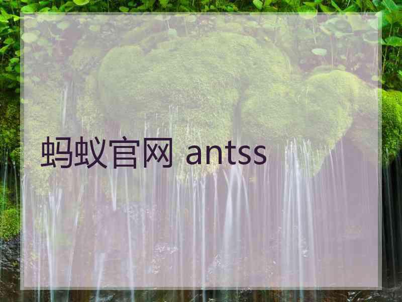 蚂蚁官网 antss