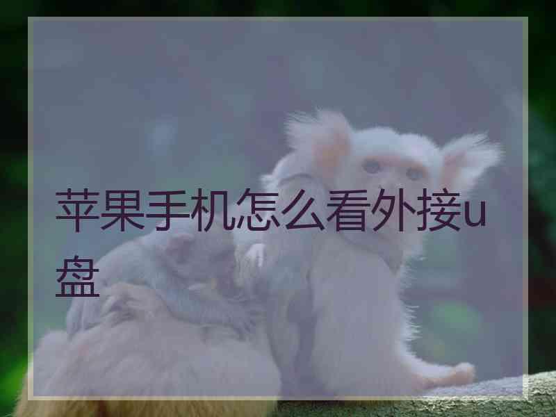 苹果手机怎么看外接u盘