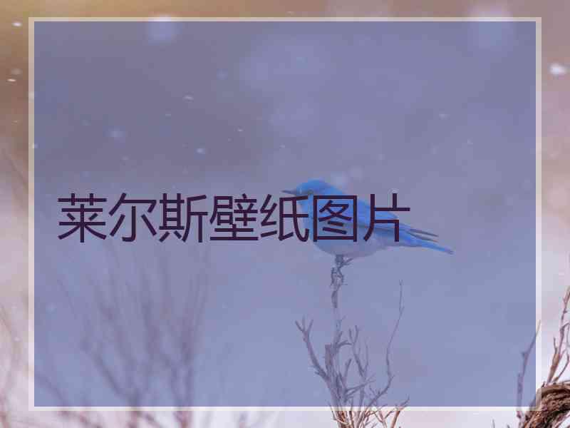 莱尔斯壁纸图片