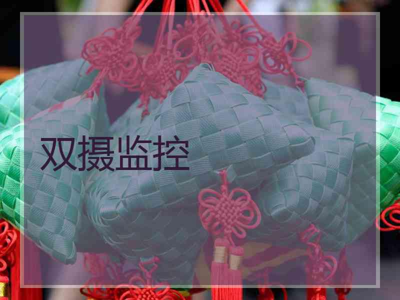 双摄监控