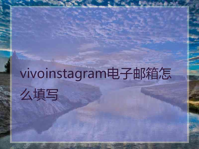 vivoinstagram电子邮箱怎么填写