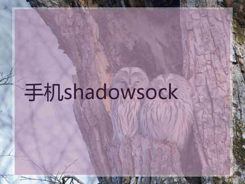 手机shadowsock