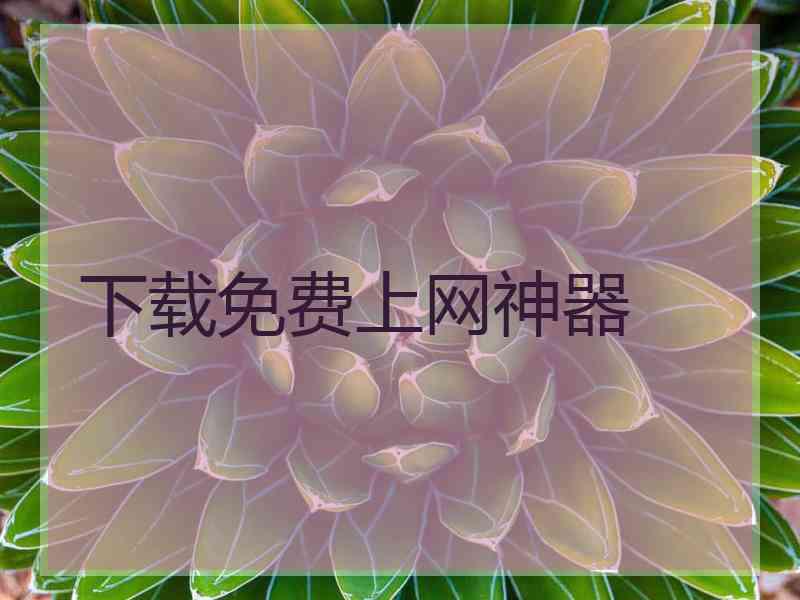 下载免费上网神器