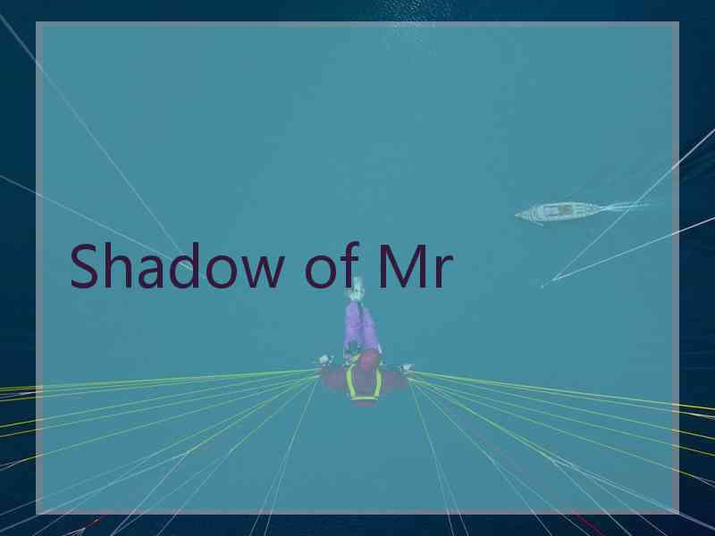 Shadow of Mr