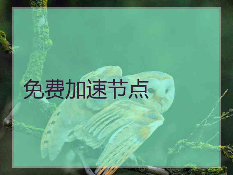 免费加速节点