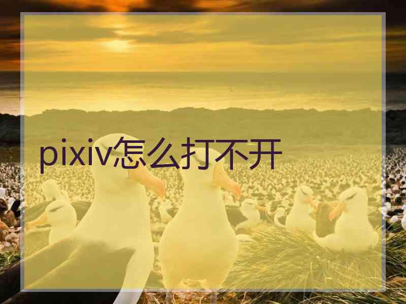pixiv怎么打不开