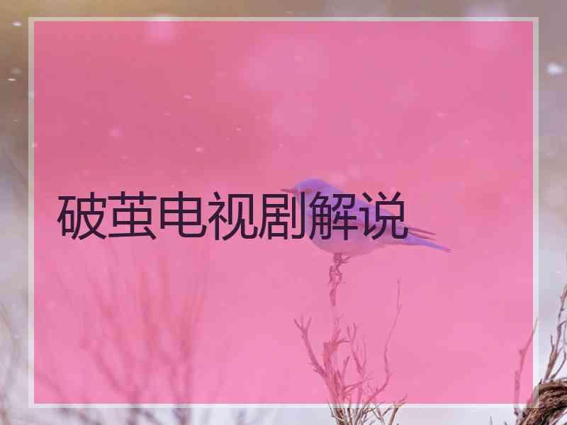 破茧电视剧解说