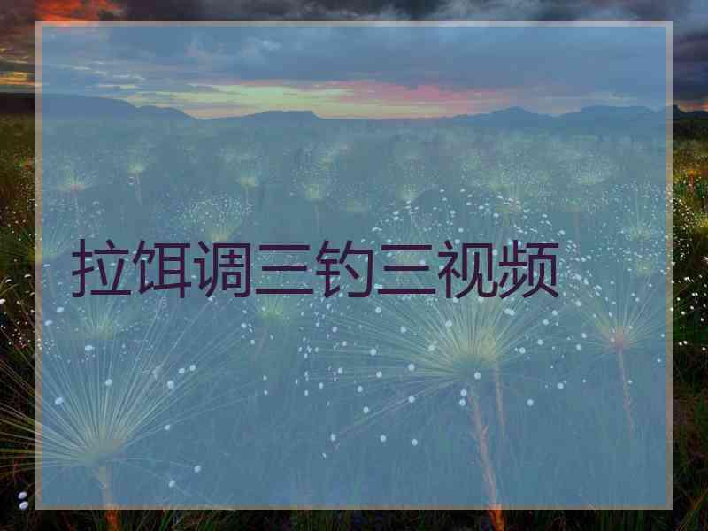 拉饵调三钓三视频