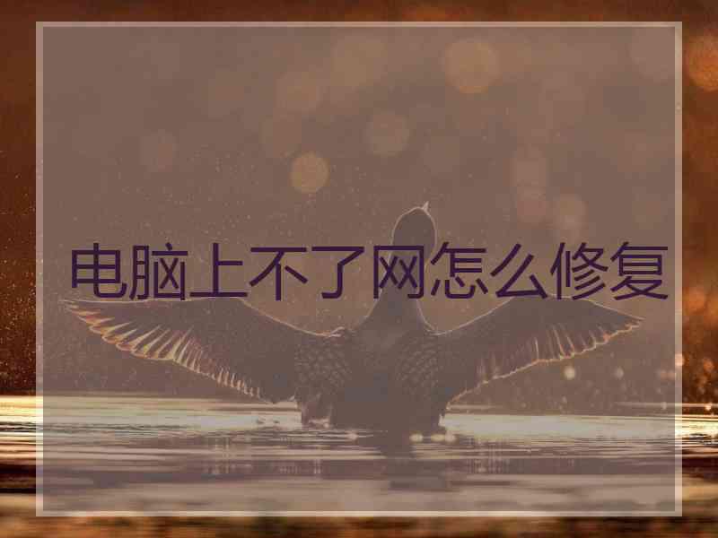 电脑上不了网怎么修复
