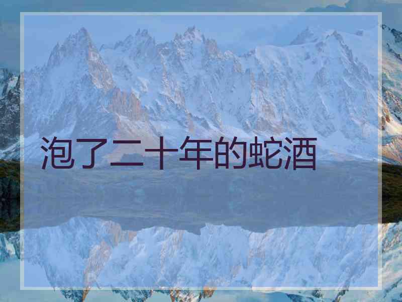 泡了二十年的蛇酒