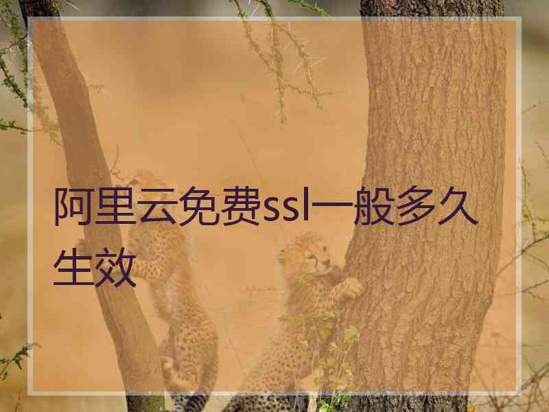 阿里云免费ssl一般多久生效