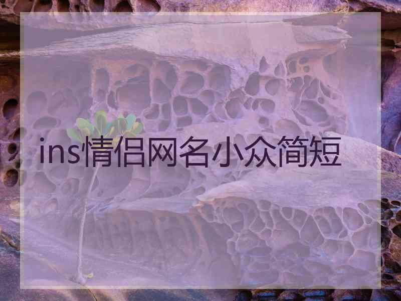 ins情侣网名小众简短