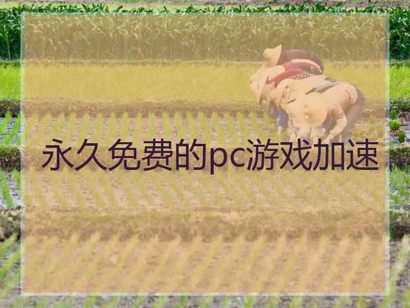永久免费的pc游戏加速