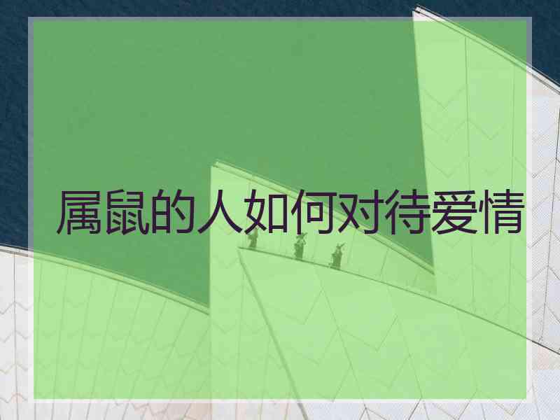属鼠的人如何对待爱情