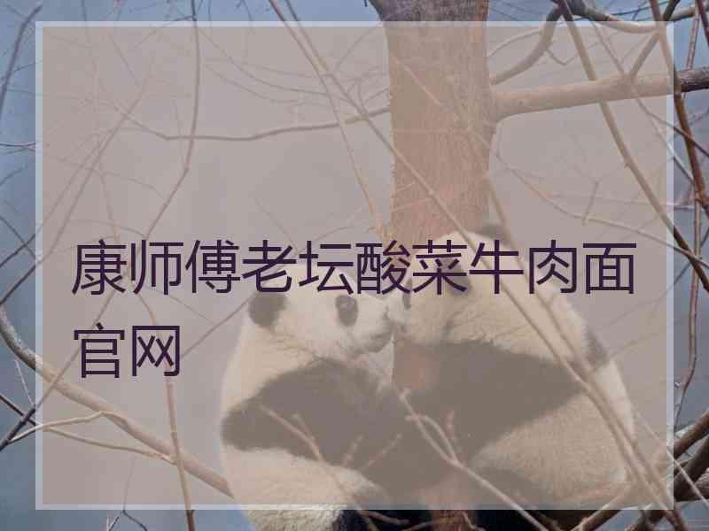 康师傅老坛酸菜牛肉面官网