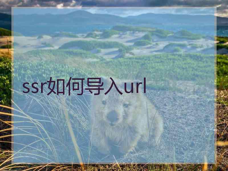 ssr如何导入url