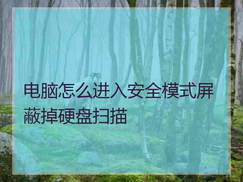 电脑怎么进入安全模式屏蔽掉硬盘扫描