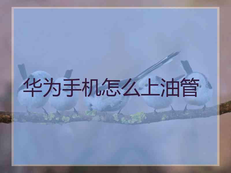 华为手机怎么上油管