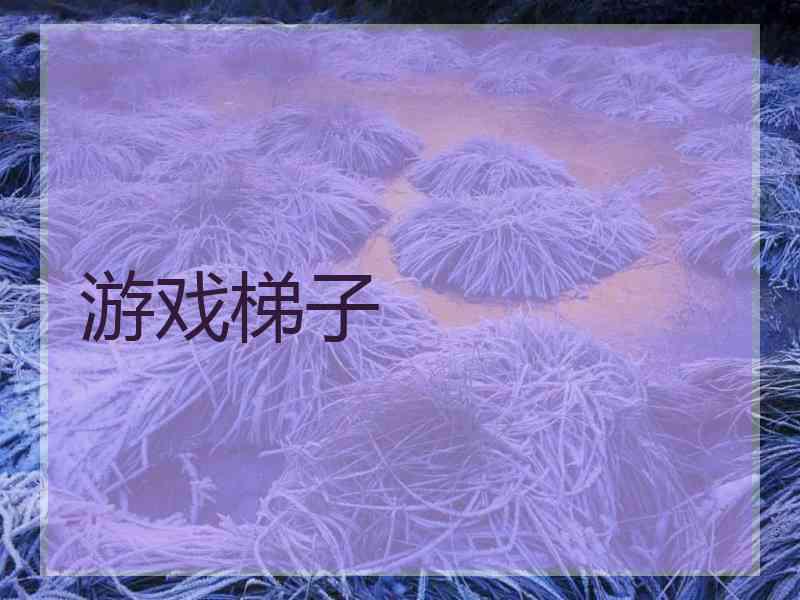 游戏梯子