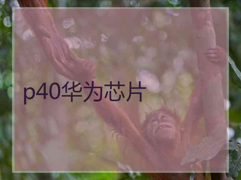 p40华为芯片