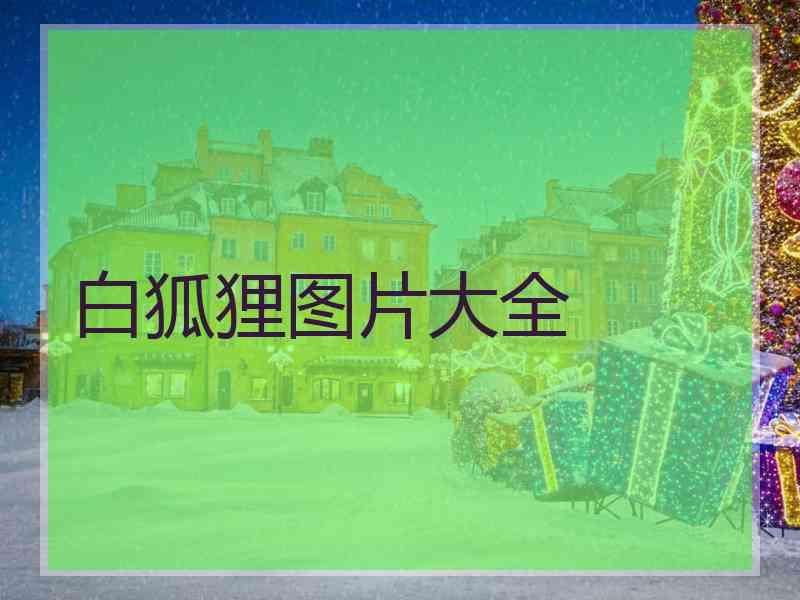 白狐狸图片大全