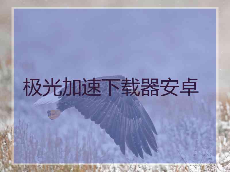 极光加速下载器安卓
