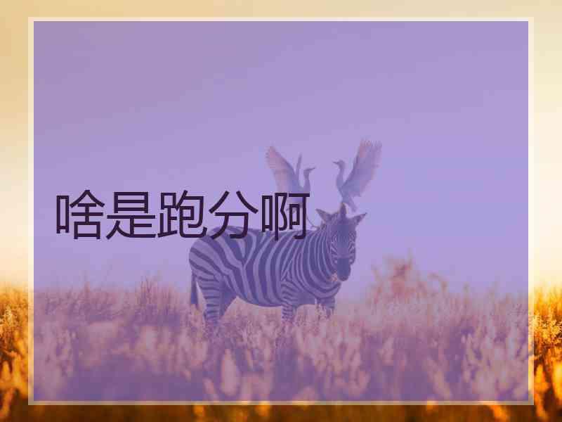 啥是跑分啊