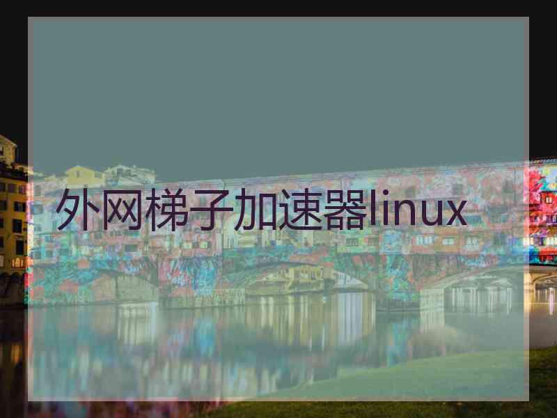 外网梯子加速器linux