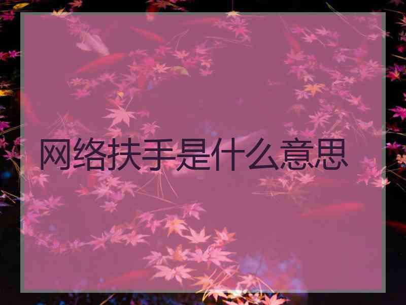网络扶手是什么意思