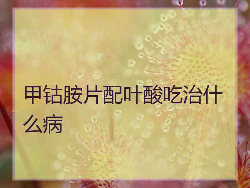 甲钴胺片配叶酸吃治什么病