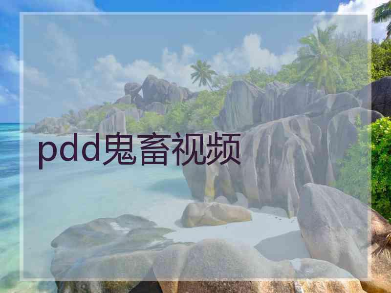 pdd鬼畜视频