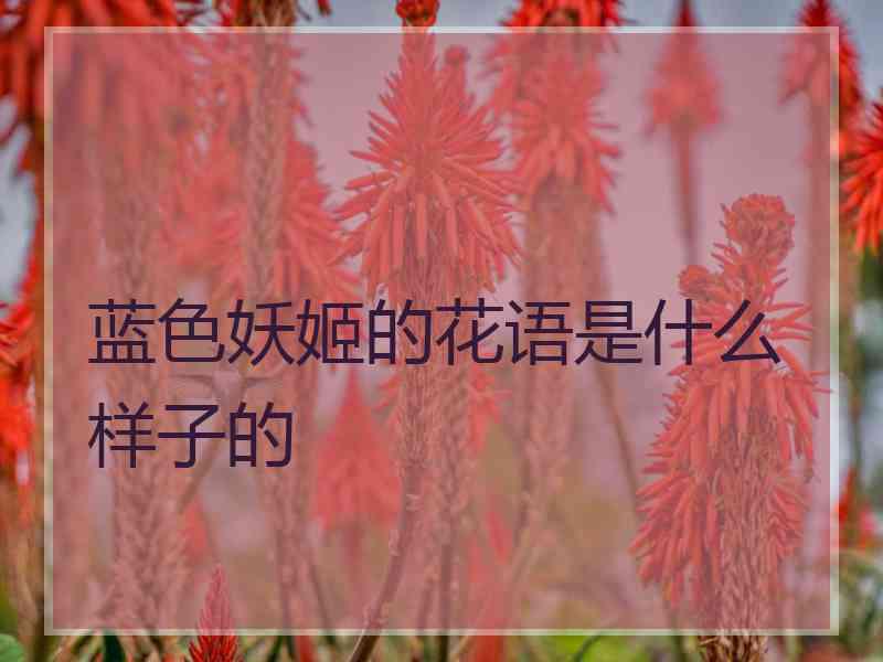 蓝色妖姬的花语是什么样子的