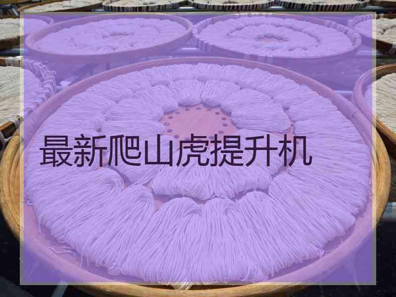 最新爬山虎提升机