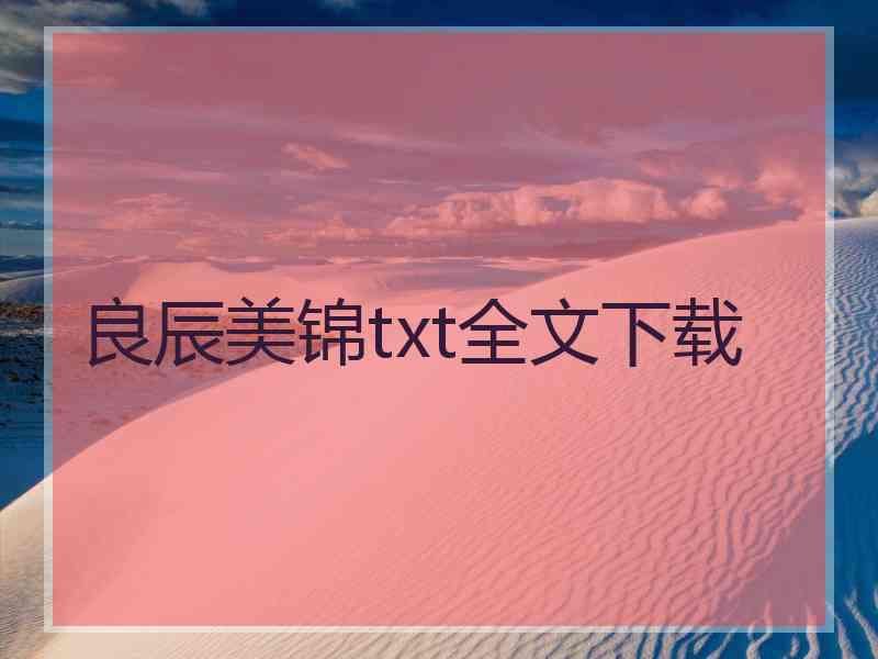 良辰美锦txt全文下载