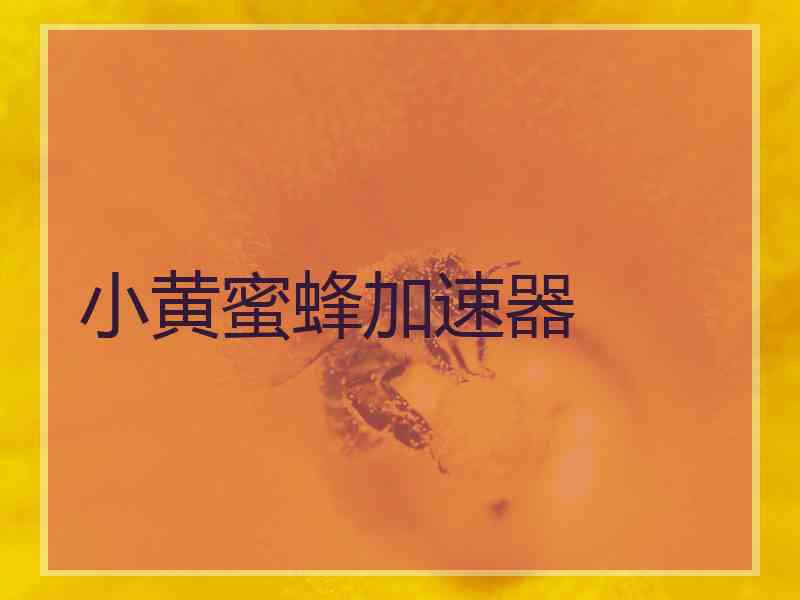 小黄蜜蜂加速器