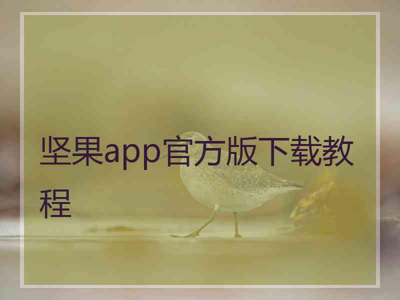 坚果app官方版下载教程