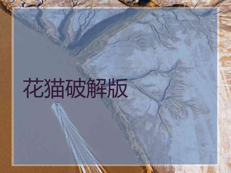 花猫破解版