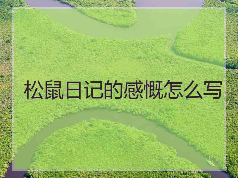 松鼠日记的感慨怎么写