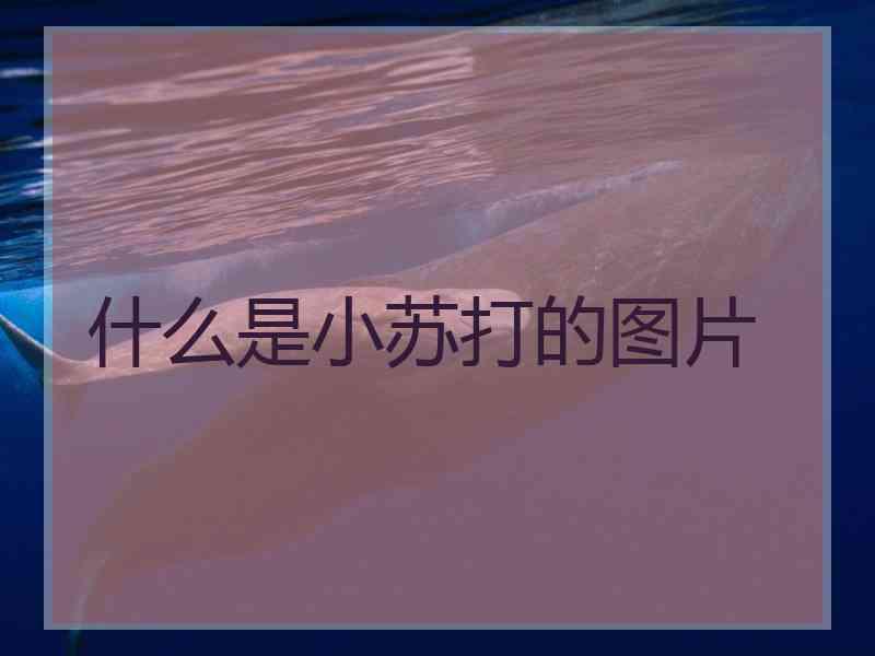 什么是小苏打的图片