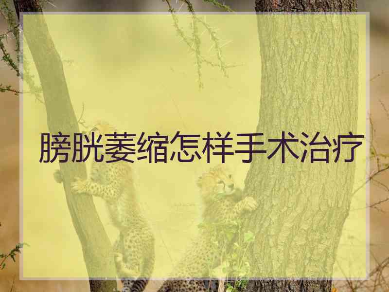 膀胱萎缩怎样手术治疗
