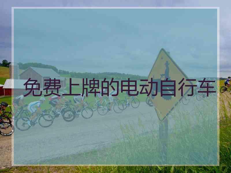 免费上牌的电动自行车
