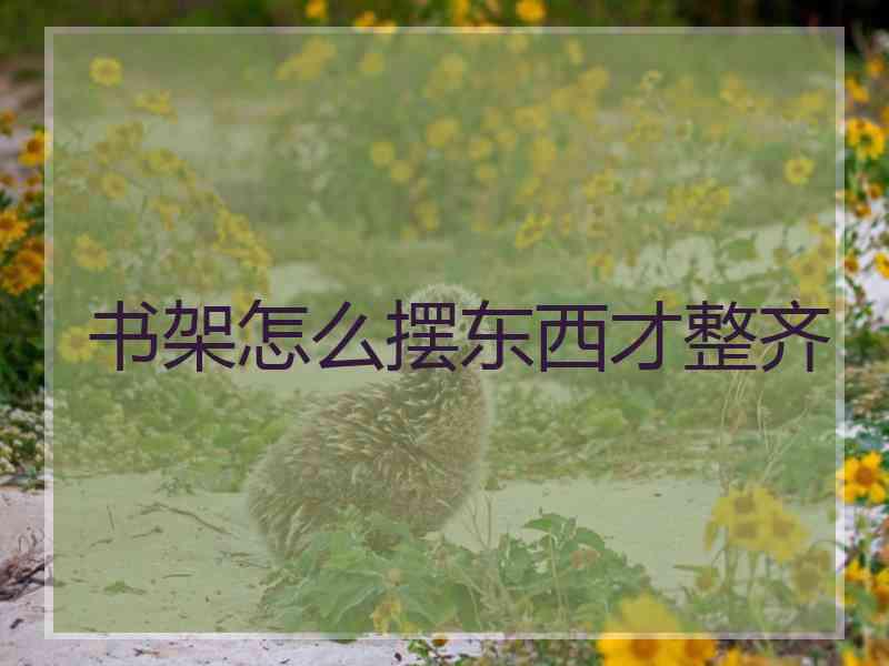 书架怎么摆东西才整齐