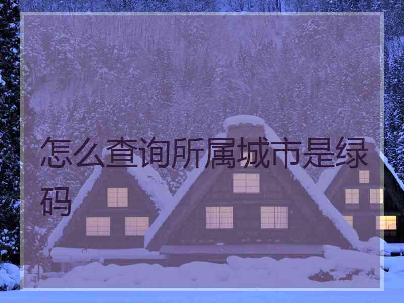 怎么查询所属城市是绿码